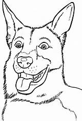 Kleurplaten Honden Dieren sketch template