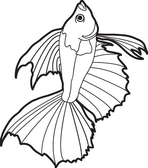 printable realistic fish coloring page  kids  supplyme
