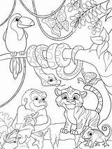 Foresta Giungla Fumetto Animali Televisivo Kinder Artstation Tiere Wonder Vektorillustration Makis sketch template