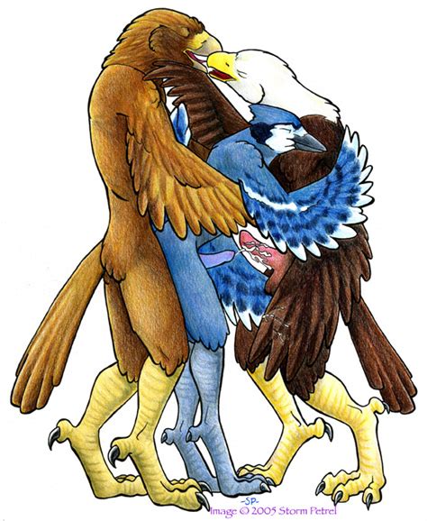 rule 34 avian bird blue jay eagle furry furry only gay hawk kissing
