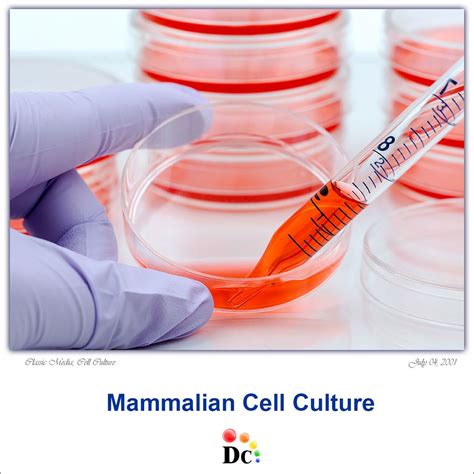 mammalian cell culture classic media animal cell culture