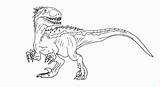 Velociraptor Realistic Rex Indominus Dino Cretaceous sketch template