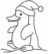 Pinguim Natal Colorear Animais Pintarcolorir Pinguins Pinguino Tudodesenhos Guardado Ainda Muitos Pingouin sketch template