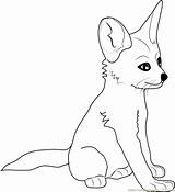 Fox Coloring Pages Fennec Baby Cute Drawing Printable Color Sheets Print Coloringpages101 Drawings Popular Designlooter Library Clipart sketch template