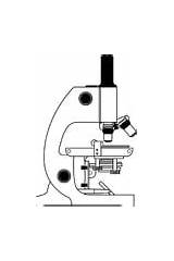 Microscope Coloring Edupics sketch template