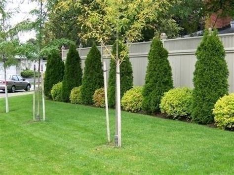 amazing privacy fence ideas  perfect  backyard backyard landscaping backyard garden