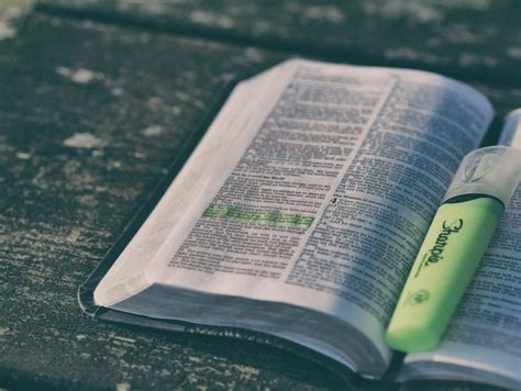 ¿podemos Leer Y Entender La Biblia Si No Somos Expertos