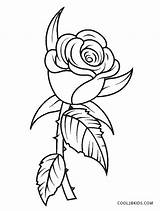 Coloring Fleur Cool2bkids Dibujos Blumen Bud sketch template