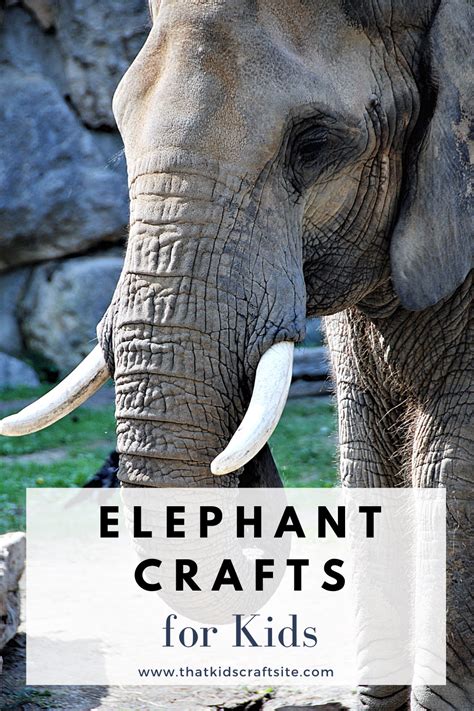 elephant crafts  kids  kids craft site