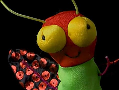 bug finger puppets fly  nancy carlson baby einstein toys baby einstein language nursery
