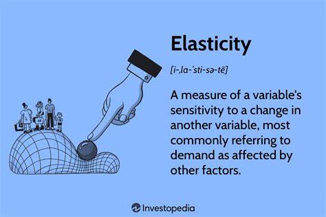 elasticity  finance    work