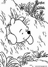 Pooh Coloring Pages Bear Hole Printable Stuck Drawing Winnie Color Gif Info Friends Adult Print Comments Colouring Freecoloring Library Clipart sketch template