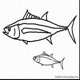 Coloring Fish Tuna Mackerel King Getcolorings Pages Getdrawings sketch template