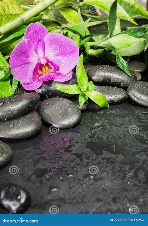 spa concept  zen stones orchid flower  bamboo stock image