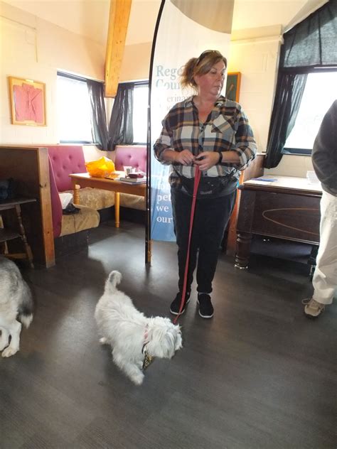 woman walking  dogs   leash   room   people