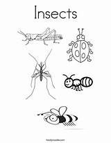Insects Insect Bugs Beetles Rainforest Designlooter Twisty Noodle sketch template