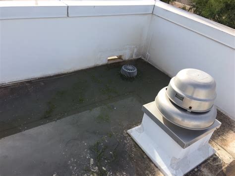 Roof Drains And Proper Drainage The Roof Medics