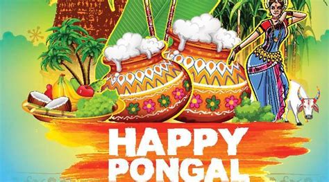 pongal 2017 wishes best pongal sms whatsapp facebook