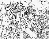 Bengal Getdrawings Popular Coloringhome sketch template