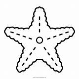 Seestern Starfish Ausmalbilder Colorir Estrela Bintang Laut Mewarnai Glitter Colorare Buku Iconfinder Ultracoloringpages sketch template