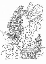 Lavender Drawing Simple Coloring Getdrawings sketch template