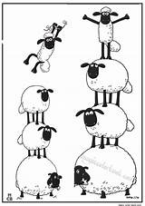 Sheep Shaun Mouton Tree Magiccolorbook Schaf Stencils Sacs Schaap Schafe Malen sketch template
