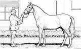 Horse Coloring Pages Grazing Printable Stall Print sketch template
