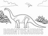 Brontosaurus Dinosaur Coloring Pages Printable Kids sketch template
