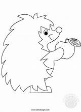 Riccio Tuttodisegni Fensterbild Drachen Herisson Hedgehog Ricci Vorlagen Artigianato Autunno Fensterbilder šablony Automne Créations Animali Detskie Podelki Autunnale Autunnali Pintar sketch template