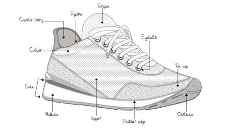 anatomy   shoe