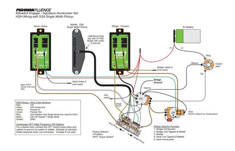 fishman fluence modern  wiring diagram wiring diagram pictures