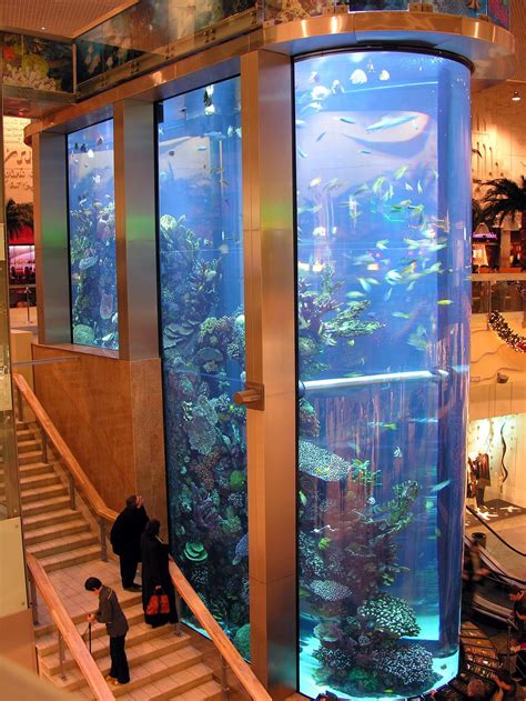 largest aquarium   highest   baltic states lithuanian book  records