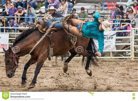 Hard Fall Coming Editorial Stock Image Image Of