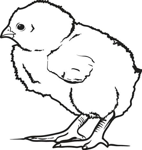 printable chicken coloring pages  getdrawings