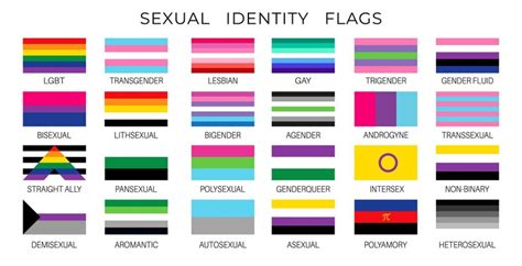 premium vector lgbt pride flags sexual diversity and gender identity