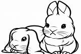 Bunny Coloring Pages Cute Bunnies Baby Print Rabbit Real Color Kids Cat Life Animals Popular Some Coloringtop sketch template