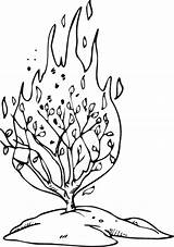 Coloring Bush Burning Craft Pages Template sketch template
