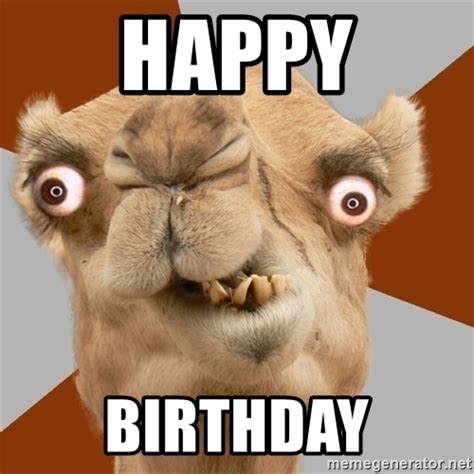 Happy Birthday Crazy Camel Lol Meme Generator