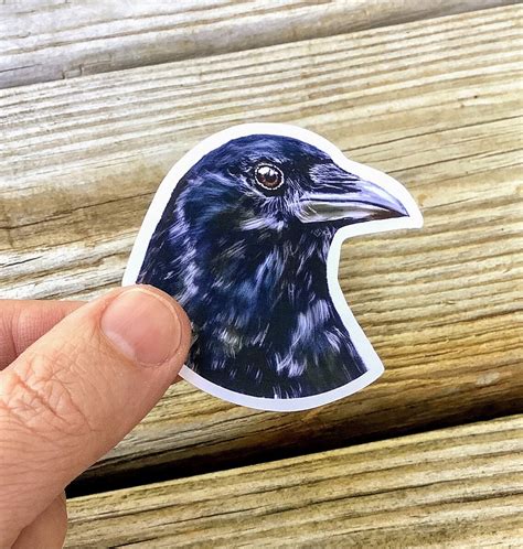crow die cut vinyl sticker realistic bird matte corvid raven etsy