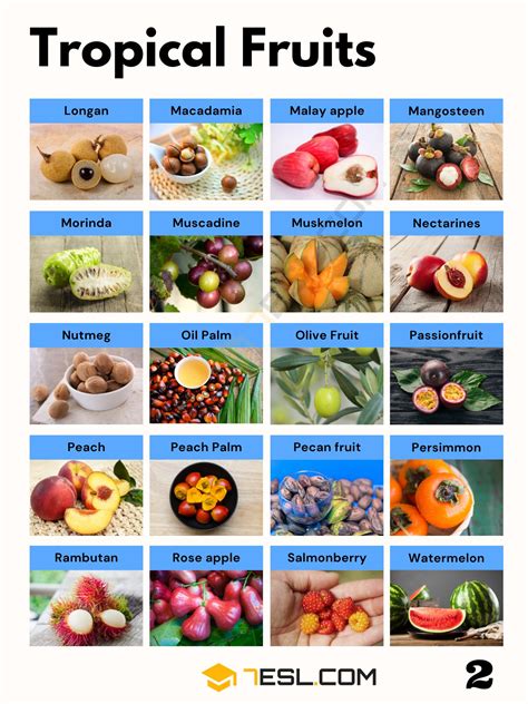 166 tropical fruits list with juicy pictures 7esl