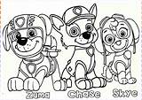 Paw Patrol Coloring Pages Print Kids Skye Chase Worksheets Zuma sketch template