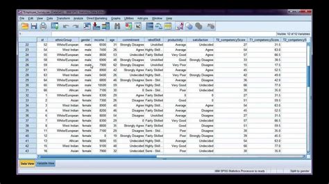split your data file by a categorical variable in spss youtube