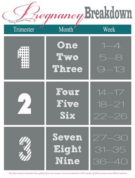 pregnancy calendar month by month with image