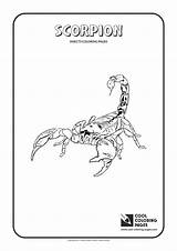 Coloring Scorpion Pages Cool Animals Zero Sub Kids Ladybug sketch template