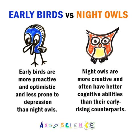 Early Bird Or Night Owl Andrea Althoff