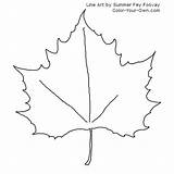 Leaf Maple Coloring Pages Color Fall Col sketch template