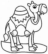 Outline Dromadaire Camels Drawing Chameleon Clipartmag Effortfulg Coloriages sketch template