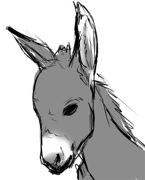 simple donkey drawing    clipartmag