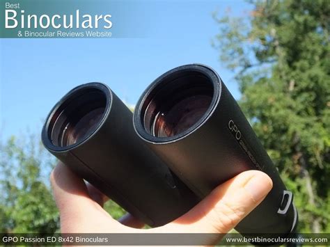 gpo passion ed 8x42 binoculars review