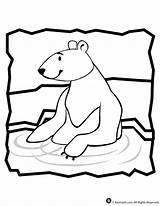 Polar Bear Coloring Pages sketch template
